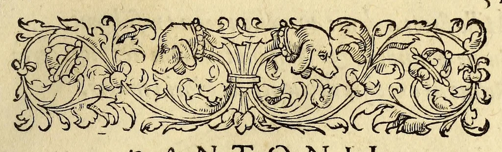 An illustration from Antonii Mizaldi Monluciani, de mundi sphœra, seu cosmographia, libri tres : figuris & demonstrationibus illustrati, 1553, leaf 51