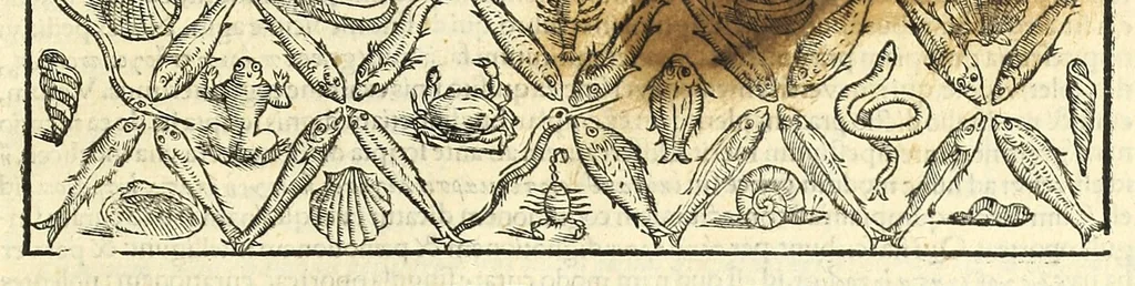 An illustration from Galeni librorum septima classis : curativum methodum tum diffuse tum breviter descriptam, victus rationem in morbis acutis, singulorum morborum facile paranda remedia, privatam quorundam morborum curationem, chirurgie constitutionem, fracturarum ac luxationum sanationem, fasciarum deniq ; & laqueorum & machinamentorum tractatum continet, 1576, leaf 223
