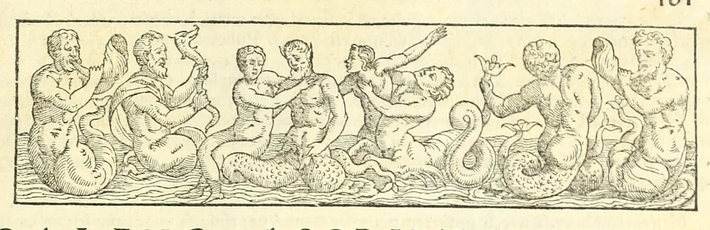 An illustration from Galeni librorum septima classis : curativum methodum tum diffuse tum breviter descriptam, victus rationem in morbis acutis, singulorum morborum facile paranda remedia, privatam quorundam morborum curationem, chirurgie constitutionem, fracturarum ac luxationum sanationem, fasciarum deniq ; & laqueorum & machinamentorum tractatum continet, 1576, leaf 329