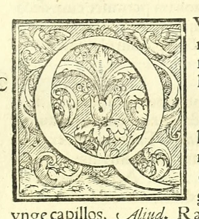 An illustration from Galeni librorum septima classis : curativum methodum tum diffuse tum breviter descriptam, victus rationem in morbis acutis, singulorum morborum facile paranda remedia, privatam quorundam morborum curationem, chirurgie constitutionem, fracturarum ac luxationum sanationem, fasciarum deniq ; & laqueorum & machinamentorum tractatum continet, 1576, leaf 329