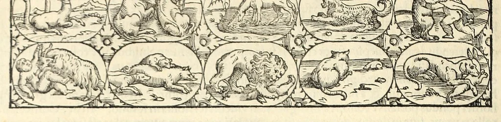 An illustration from Galeni librorum septima classis : curativum methodum tum diffuse tum breviter descriptam, victus rationem in morbis acutis, singulorum morborum facile paranda remedia, privatam quorundam morborum curationem, chirurgie constitutionem, fracturarum ac luxationum sanationem, fasciarum deniq ; & laqueorum & machinamentorum tractatum continet, 1576, leaf 386