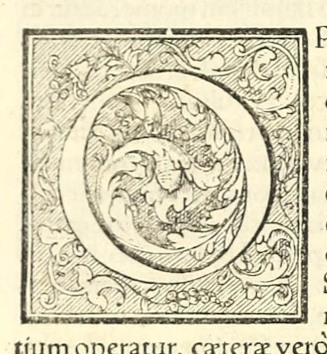 An illustration from Galeni librorum septima classis : curativum methodum tum diffuse tum breviter descriptam, victus rationem in morbis acutis, singulorum morborum facile paranda remedia, privatam quorundam morborum curationem, chirurgie constitutionem, fracturarum ac luxationum sanationem, fasciarum deniq ; & laqueorum & machinamentorum tractatum continet, 1576, leaf 386