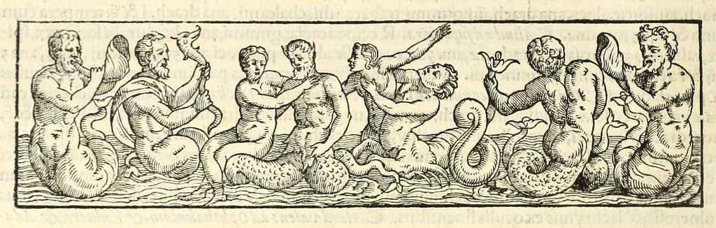 An illustration from Galeni librorum septima classis : curativum methodum tum diffuse tum breviter descriptam, victus rationem in morbis acutis, singulorum morborum facile paranda remedia, privatam quorundam morborum curationem, chirurgie constitutionem, fracturarum ac luxationum sanationem, fasciarum deniq ; & laqueorum & machinamentorum tractatum continet, 1576, leaf 404