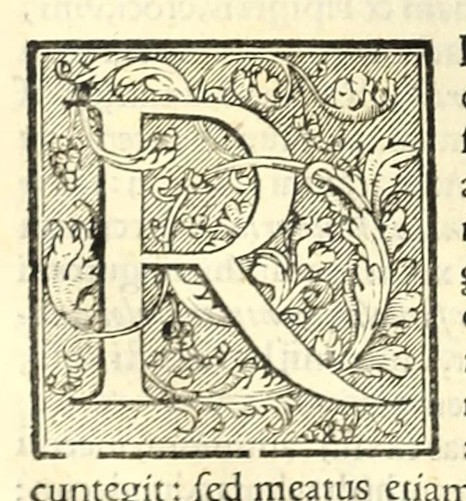 An illustration from Galeni librorum septima classis : curativum methodum tum diffuse tum breviter descriptam, victus rationem in morbis acutis, singulorum morborum facile paranda remedia, privatam quorundam morborum curationem, chirurgie constitutionem, fracturarum ac luxationum sanationem, fasciarum deniq ; & laqueorum & machinamentorum tractatum continet, 1576, leaf 404