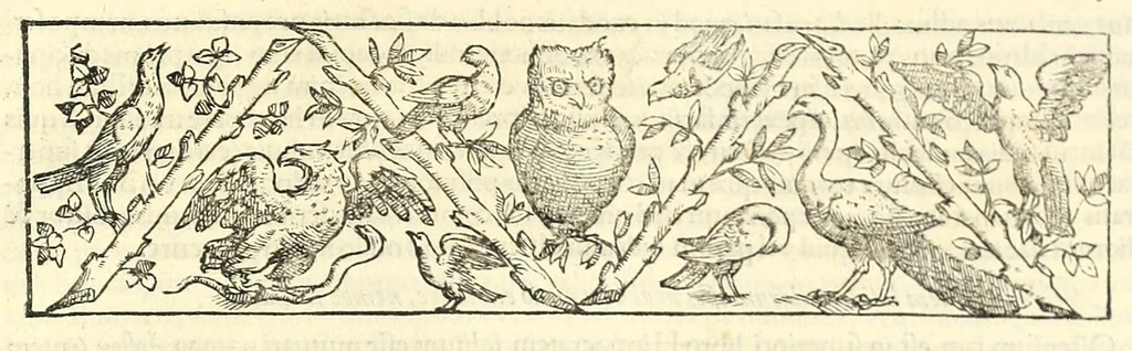 An illustration from Galeni librorum septima classis : curativum methodum tum diffuse tum breviter descriptam, victus rationem in morbis acutis, singulorum morborum facile paranda remedia, privatam quorundam morborum curationem, chirurgie constitutionem, fracturarum ac luxationum sanationem, fasciarum deniq ; & laqueorum & machinamentorum tractatum continet, 1576, leaf 523