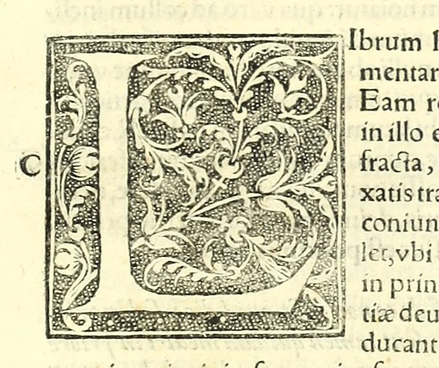 An illustration from Galeni librorum septima classis : curativum methodum tum diffuse tum breviter descriptam, victus rationem in morbis acutis, singulorum morborum facile paranda remedia, privatam quorundam morborum curationem, chirurgie constitutionem, fracturarum ac luxationum sanationem, fasciarum deniq ; & laqueorum & machinamentorum tractatum continet, 1576, leaf 523