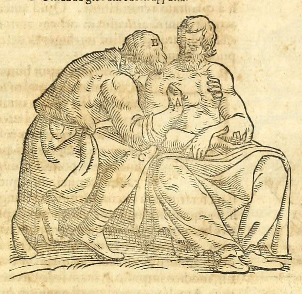 An illustration from Galeni librorum septima classis : curativum methodum tum diffuse tum breviter descriptam, victus rationem in morbis acutis, singulorum morborum facile paranda remedia, privatam quorundam morborum curationem, chirurgie constitutionem, fracturarum ac luxationum sanationem, fasciarum deniq ; & laqueorum & machinamentorum tractatum continet, 1576, leaf 527