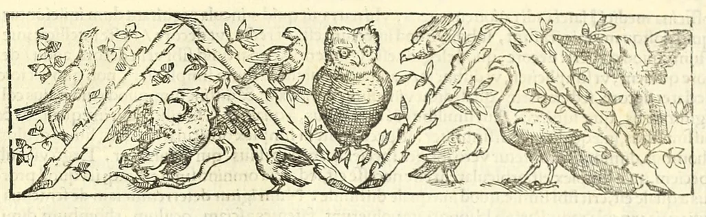 An illustration from Galeni librorum septima classis : curativum methodum tum diffuse tum breviter descriptam, victus rationem in morbis acutis, singulorum morborum facile paranda remedia, privatam quorundam morborum curationem, chirurgie constitutionem, fracturarum ac luxationum sanationem, fasciarum deniq ; & laqueorum & machinamentorum tractatum continet, 1576, leaf 607