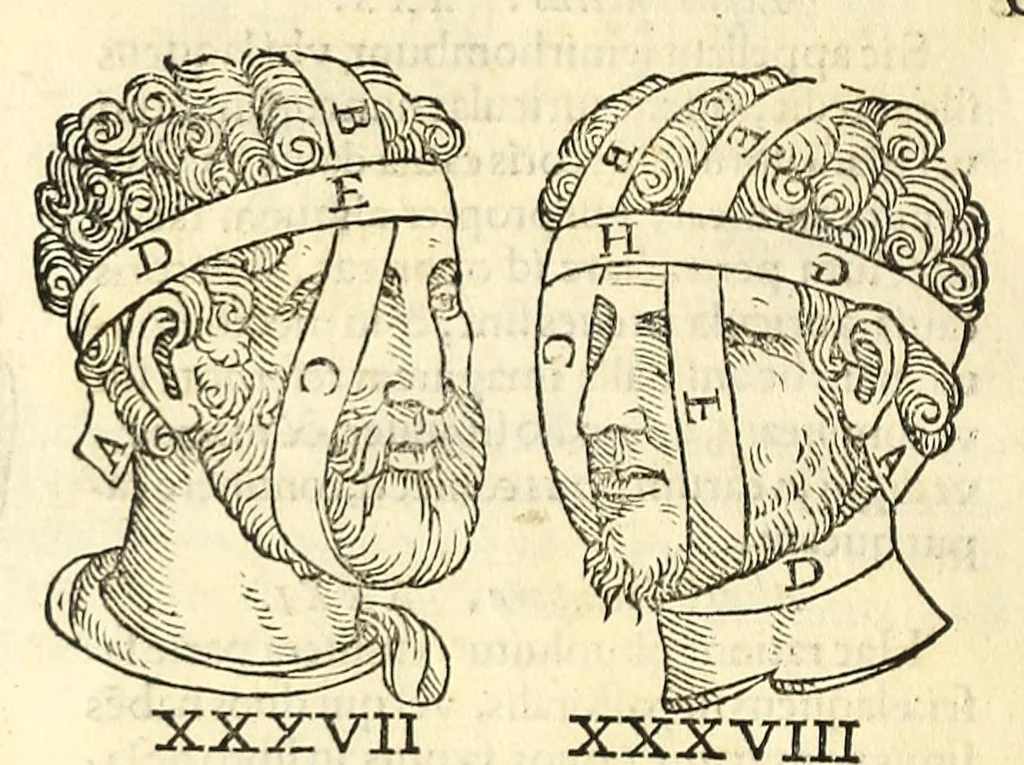 An illustration from Galeni librorum septima classis : curativum methodum tum diffuse tum breviter descriptam, victus rationem in morbis acutis, singulorum morborum facile paranda remedia, privatam quorundam morborum curationem, chirurgie constitutionem, fracturarum ac luxationum sanationem, fasciarum deniq ; & laqueorum & machinamentorum tractatum continet, 1576, leaf 616