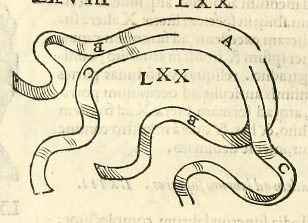 An illustration from Galeni librorum septima classis : curativum methodum tum diffuse tum breviter descriptam, victus rationem in morbis acutis, singulorum morborum facile paranda remedia, privatam quorundam morborum curationem, chirurgie constitutionem, fracturarum ac luxationum sanationem, fasciarum deniq ; & laqueorum & machinamentorum tractatum continet, 1576, leaf 622