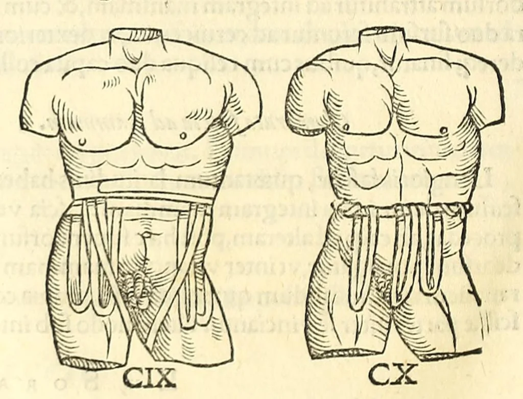 An illustration from Galeni librorum septima classis : curativum methodum tum diffuse tum breviter descriptam, victus rationem in morbis acutis, singulorum morborum facile paranda remedia, privatam quorundam morborum curationem, chirurgie constitutionem, fracturarum ac luxationum sanationem, fasciarum deniq ; & laqueorum & machinamentorum tractatum continet, 1576, leaf 628