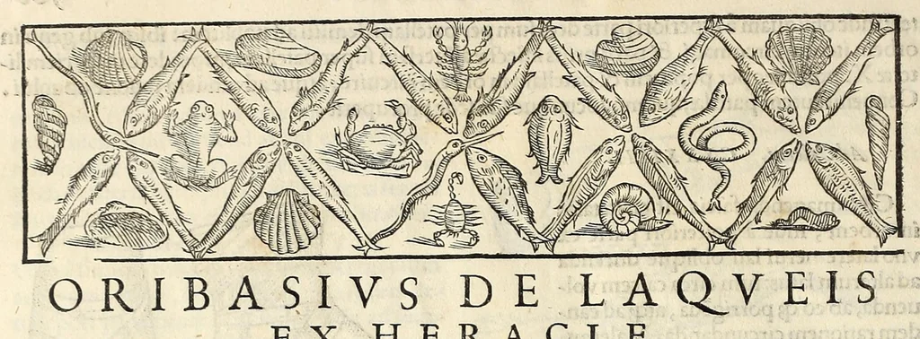 An illustration from Galeni librorum septima classis : curativum methodum tum diffuse tum breviter descriptam, victus rationem in morbis acutis, singulorum morborum facile paranda remedia, privatam quorundam morborum curationem, chirurgie constitutionem, fracturarum ac luxationum sanationem, fasciarum deniq ; & laqueorum & machinamentorum tractatum continet, 1576, leaf 634