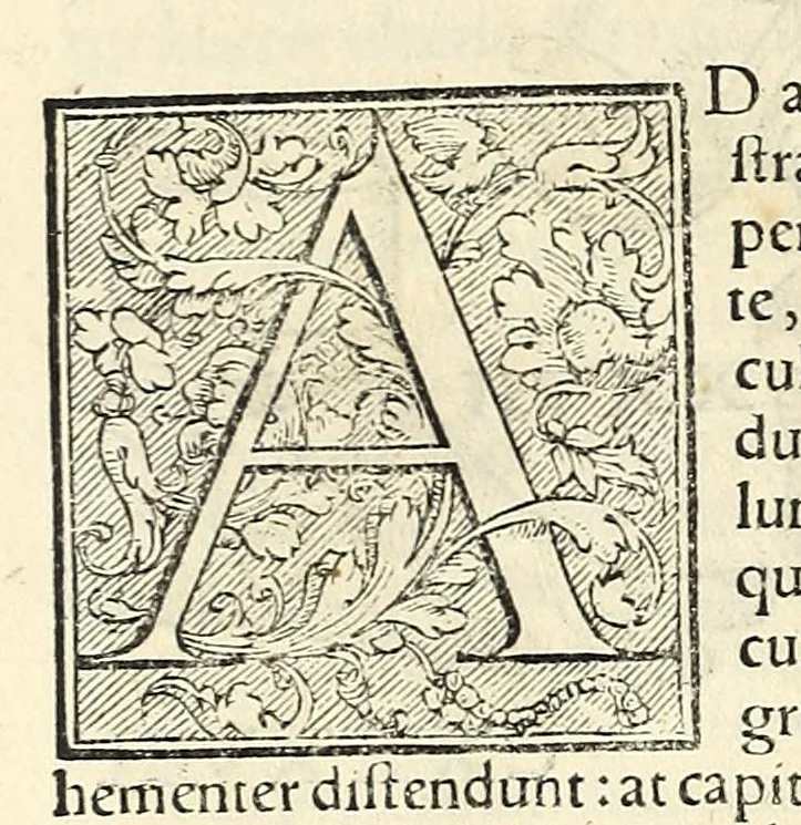 An illustration from Galeni librorum septima classis : curativum methodum tum diffuse tum breviter descriptam, victus rationem in morbis acutis, singulorum morborum facile paranda remedia, privatam quorundam morborum curationem, chirurgie constitutionem, fracturarum ac luxationum sanationem, fasciarum deniq ; & laqueorum & machinamentorum tractatum continet, 1576, leaf 634