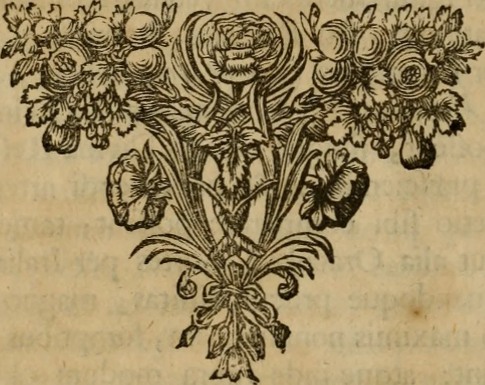 An illustration from Antonii van Dale poliatri Harlemensis De oraculis veterum ethnicorum dissertationes duae : quarum nunc prior agit de eorum origine atque auctoribus, secunda de ipsorum duratione & interitu .., 1700, leaf 739