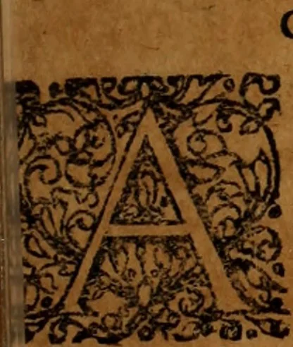 An illustration from Antonii Wottoni Londinatis Angli De reconciliatione peccatoris : ad regium Collegium Cantabrigiense, libri quatuor. In quibus doctrina ecclesiae Anglicanae de justificatione impij explicatur & defenditur .., 1624, leaf 156