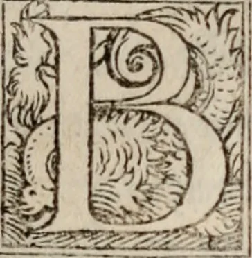 An illustration from Antonini Liberalis Transformationum congeries. Phlegontis Tralliani De mirabilibus & longaeuis libellus. Eivsdem De Olympijs fragmentum. Apollonii Historiae mirabiles. Antigoni Mirabil. narrationú congeries. M. Antonini philosophi imp. romani, De vita sua libri XII ab innumeris quibus antea scatebant mendis repurgati, & nuno demum vere editi, 1568, leaf 114