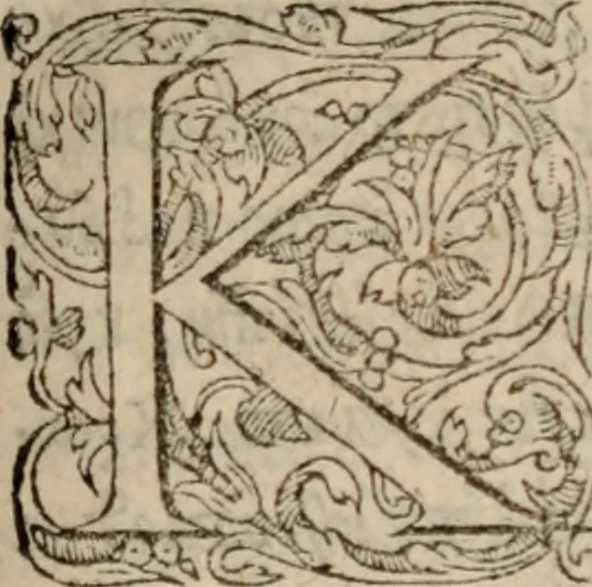 An illustration from Antonini Liberalis Transformationum congeries. Phlegontis Tralliani De mirabilibus & longaeuis libellus. Eivsdem De Olympijs fragmentum. Apollonii Historiae mirabiles. Antigoni Mirabil. narrationú congeries. M. Antonini philosophi imp. romani, De vita sua libri XII ab innumeris quibus antea scatebant mendis repurgati, & nuno demum vere editi, 1568, leaf 12