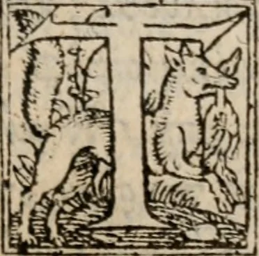An illustration from Antonini Liberalis Transformationum congeries. Phlegontis Tralliani De mirabilibus & longaeuis libellus. Eivsdem De Olympijs fragmentum. Apollonii Historiae mirabiles. Antigoni Mirabil. narrationú congeries. M. Antonini philosophi imp. romani, De vita sua libri XII ab innumeris quibus antea scatebant mendis repurgati, & nuno demum vere editi, 1568, leaf 196