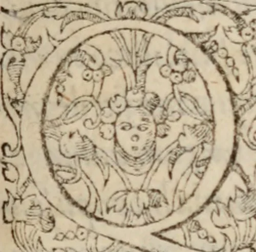 An illustration from Antonini Liberalis Transformationum congeries. Phlegontis Tralliani De mirabilibus & longaeuis libellus. Eivsdem De Olympijs fragmentum. Apollonii Historiae mirabiles. Antigoni Mirabil. narrationú congeries. M. Antonini philosophi imp. romani, De vita sua libri XII ab innumeris quibus antea scatebant mendis repurgati, & nuno demum vere editi, 1568, leaf 6