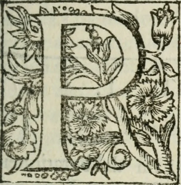An illustration from AntonI Sucquet e Societate Iesu Via vitae aeternae, 1630, leaf 184