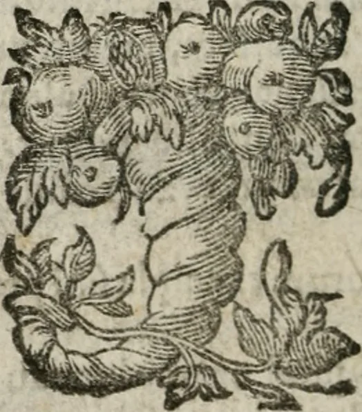 An illustration from AntonI Sucquet e Societate Iesu Via vitae aeternae, 1630, leaf 543
