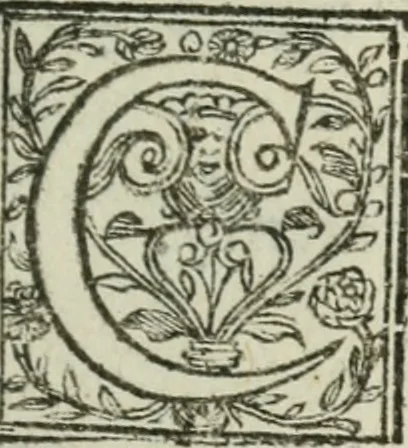An illustration from AntonI Sucquet e Societate Iesu Via vitae aeternae, 1630, leaf 6