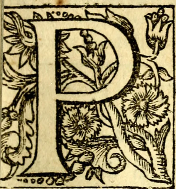An illustration from Antoni Sucquet ... Via vitae aeternae, 1630, leaf 186