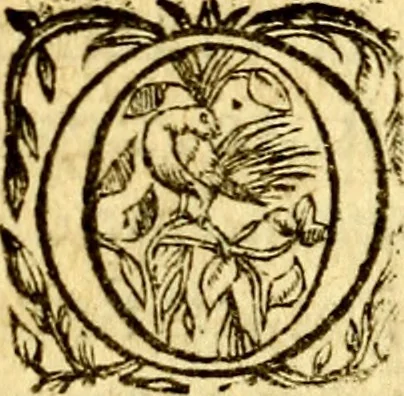 An illustration from Antoni Sucquet ... Via vitae aeternae, 1630, leaf 187