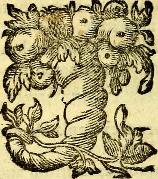 An illustration from Antoni Sucquet ... Via vitae aeternae, 1630, leaf 543