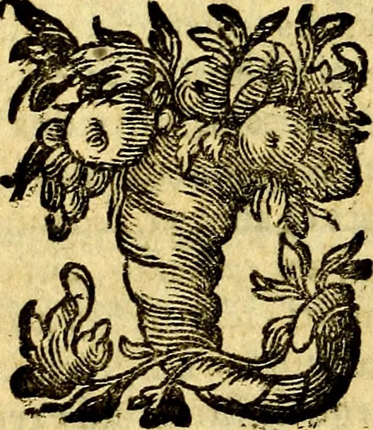 An illustration from Antoni Sucquet ... Via vitae aeternae, 1630, leaf 659