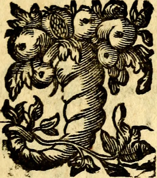 An illustration from Antoni Sucquet ... Via vitae aeternae, 1630, leaf 812