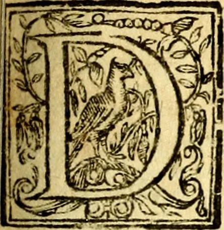 An illustration from Antoni Sucquet ... Via vitae aeternae, 1630, leaf 818
