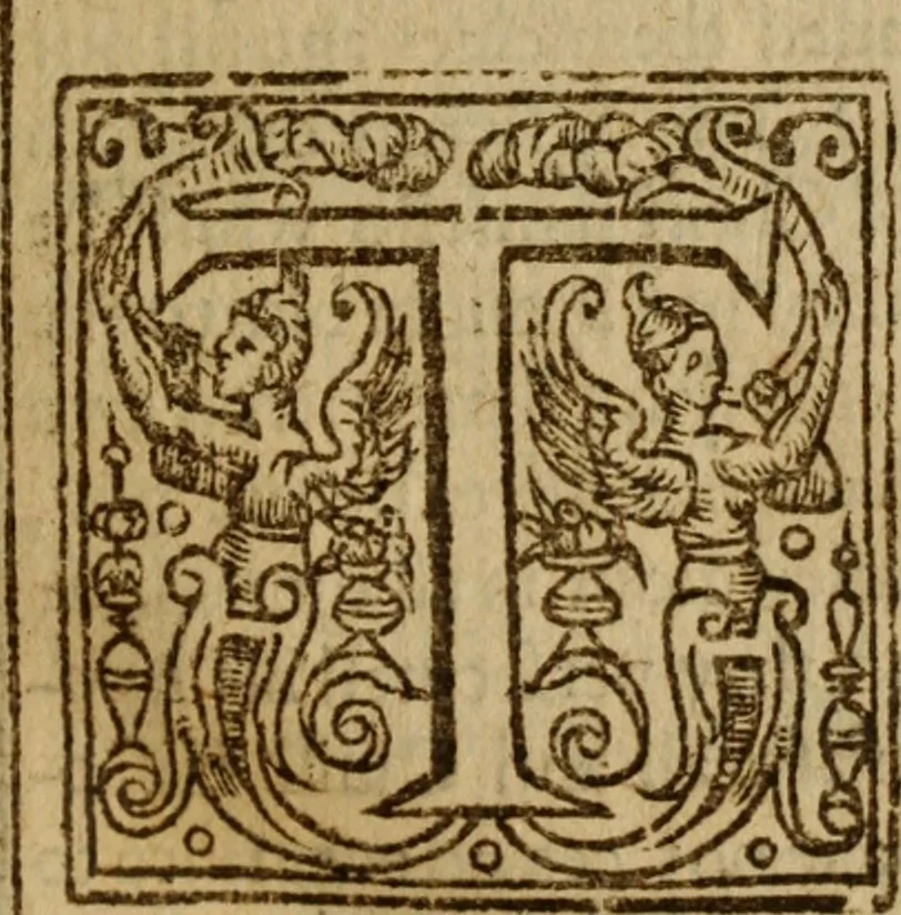 An illustration from Antichrist the pope of Rome : or, the pope of Rome is Antichrist, 1625, leaf 135