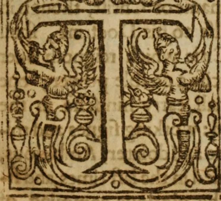 An illustration from Antichrist the pope of Rome : or, the pope of Rome is Antichrist, 1625, leaf 27