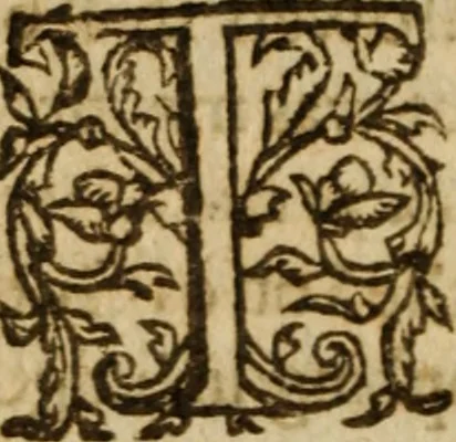 An illustration from Antichrist the pope of Rome : or, the pope of Rome is Antichrist, 1625, leaf 36
