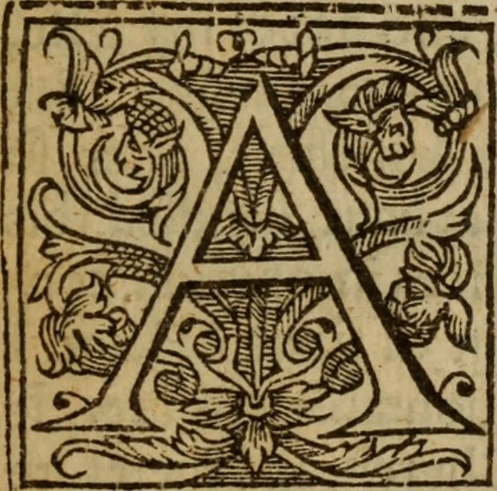 An illustration from Antichrist the pope of Rome : or, the pope of Rome is Antichrist, 1625, leaf 6