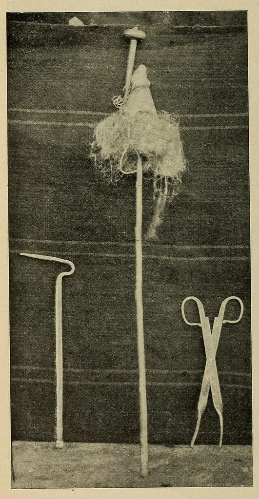 An illustration from Antropología y etnología del país Vasco-Navarro, 1911, leaf 70