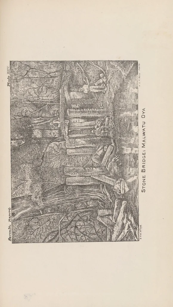 An illustration from Anuradhpura and the North-Central Province ... : progress report, 1890, leaf 131