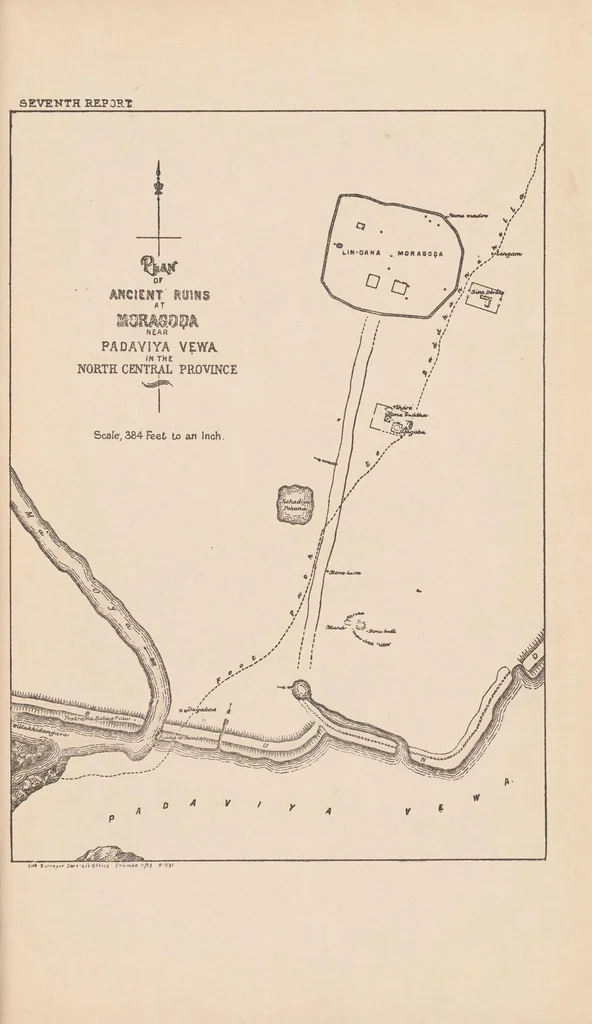 An illustration from Anuradhpura and the North-Central Province ... : progress report, 1890, leaf 147
