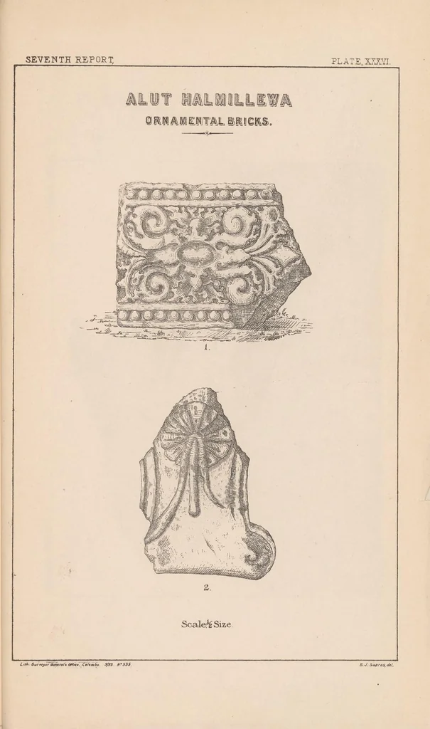 An illustration from Anuradhpura and the North-Central Province ... : progress report, 1890, leaf 161