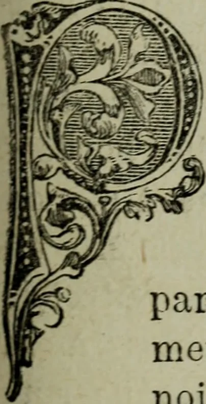 An illustration from Anvers (guide) : histoire, institutions, description des monuments et oeuvres-d'art, 1874, leaf 232
