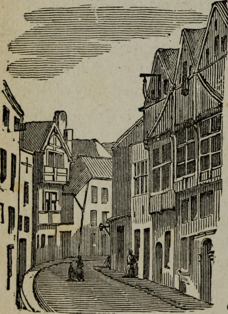 An illustration from Anvers (guide) : histoire, institutions, description des monuments et oeuvres-d'art, 1874, leaf 233