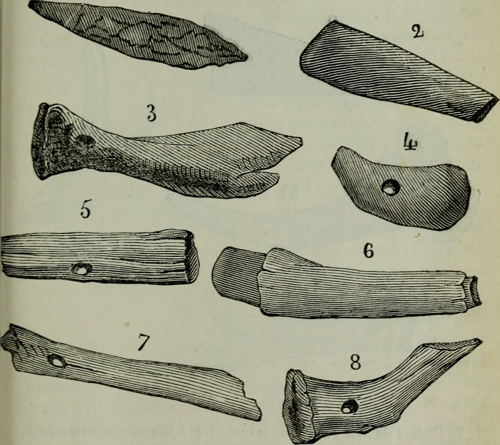 An illustration from Anvers (guide) : histoire, institutions, description des monuments et oeuvres-d'art, 1874, leaf 254