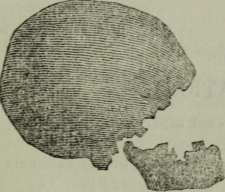 An illustration from Anvers (guide) : histoire, institutions, description des monuments et oeuvres-d'art, 1874, leaf 256