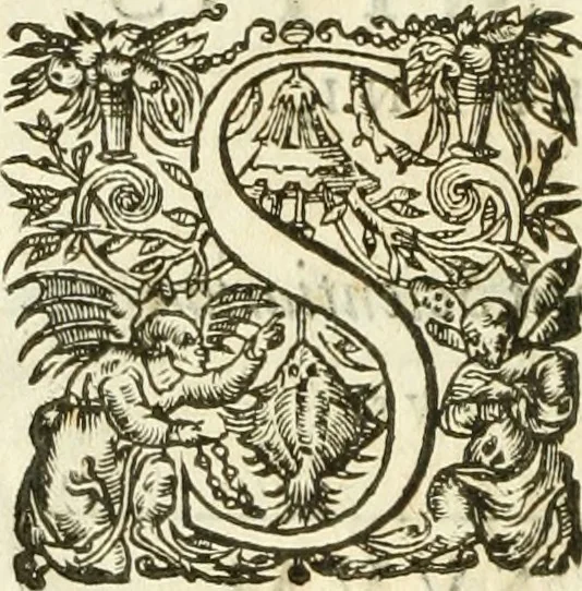 An illustration from Opera Francisci Baronis de Vervlamio ... Tomvs primvs: qui continet De dignitate & augmentis scientiarum, libros IX .., 1623, leaf 205