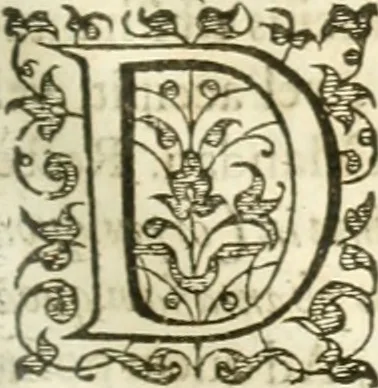 An illustration from Opera Francisci Baronis de Vervlamio ... Tomvs primvs: qui continet De dignitate & augmentis scientiarum, libros IX .., 1623, leaf 248