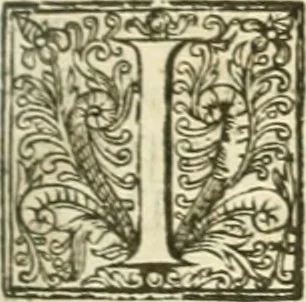 An illustration from Opera Francisci Baronis de Vervlamio ... Tomvs primvs: qui continet De dignitate & augmentis scientiarum, libros IX .., 1623, leaf 252