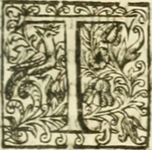 An illustration from Opera Francisci Baronis de Vervlamio ... Tomvs primvs: qui continet De dignitate & augmentis scientiarum, libros IX .., 1623, leaf 278