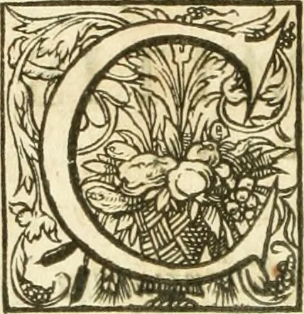 An illustration from Opera Francisci Baronis de Vervlamio ... Tomvs primvs: qui continet De dignitate & augmentis scientiarum, libros IX .., 1623, leaf 293