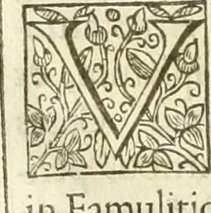 An illustration from Opera Francisci Baronis de Vervlamio ... Tomvs primvs: qui continet De dignitate & augmentis scientiarum, libros IX .., 1623, leaf 307